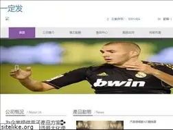 Sites similar to scsjcf.com