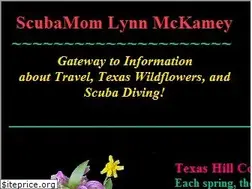 Sites similar to scubamom.com