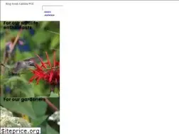 Sites similar to scwf.org