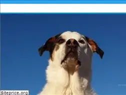 Sites similar to sdcoastalanimal.com