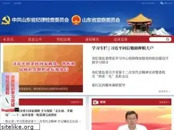 Sites similar to sdjj.gov.cn