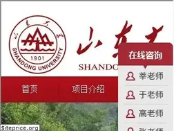 Sites similar to sdlx.sdu.edu.cn