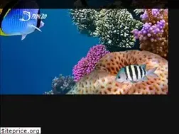 Sites similar to seafishsbd.com