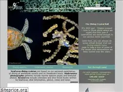 Sites similar to seafocus.com