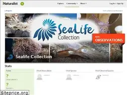 Sites similar to sealifecollection.org