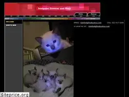 Sites similar to sealpoint.org