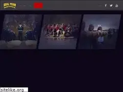 Sites similar to sealteampt.com