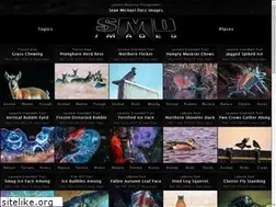 Sites similar to seandatz.com