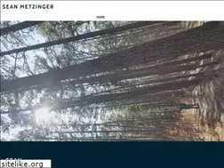 Sites similar to seanmetzinger.com