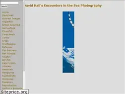 Sites similar to seaphotos.com