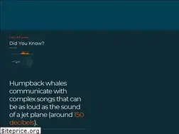 Sites similar to seashepherdglobal.org