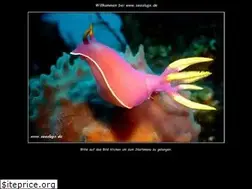 Sites similar to seaslugs.de