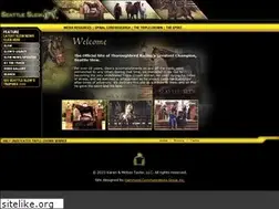 Sites similar to seattleslew.com