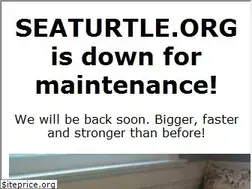 Sites similar to seaturtle.org