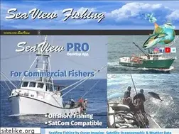 Sites similar to seaviewfishing.com