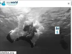 Sites similar to seaworlddivingcenter.com