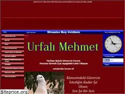 Sites similar to sebabguvercin.tr.gg