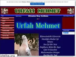 Sites similar to sebabguvercinler.tr.gg