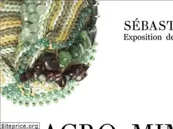 Sites similar to sebastiencarre.com