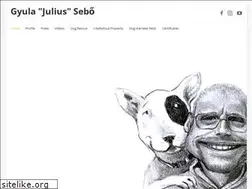 Sites similar to sebogyula.com