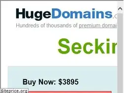 Sites similar to seckinajans.com
