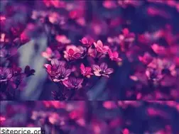 Sites similar to seduccionentrelibros1.blogspot.com