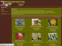 Sites similar to sedumphotos.net