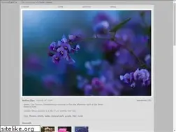 Sites similar to seenobjects.org