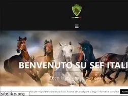 Sites similar to sef-italia.it
