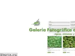 Sites similar to sef.es