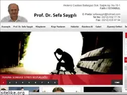 Sites similar to sefasaygili.com