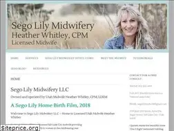 Sites similar to segolilymidwife.com