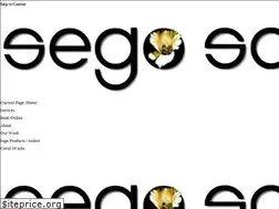 Sites similar to segosalon.com