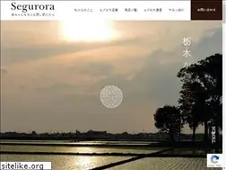 Sites similar to segurora.com