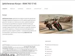Sites similar to sehirlerarasikurye.com