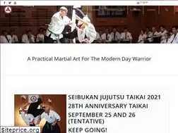 Sites similar to seibukanjujutsu.com