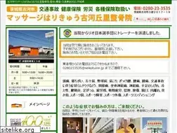 Sites similar to seikotuinn.jp
