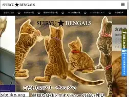 Sites similar to seiryubengals.jp