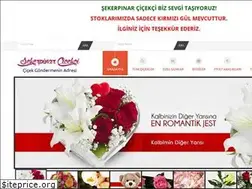 Sites similar to sekerpinarcicekci.com