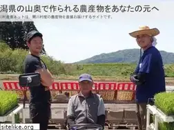 Sites similar to sekikawa.org