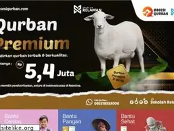 Sites similar to sekolahrelawan.com