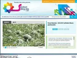 Sites similar to sektorelbilgiagi.org.tr