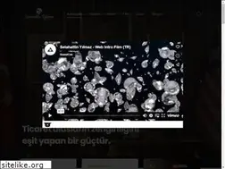 Sites similar to selahattinyilmaz.com