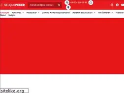 Sites similar to selcukpeker.com