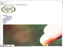 Sites similar to selesta.com.tr
