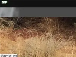 Sites similar to selfilmed.com