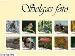Sites similar to selgasfoto.lv