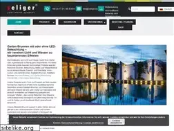 Sites similar to seliger-gmbh.de
