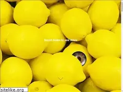 Sites similar to selimbekil.com