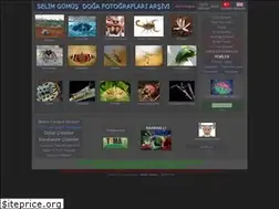 Sites similar to selimgumus.com